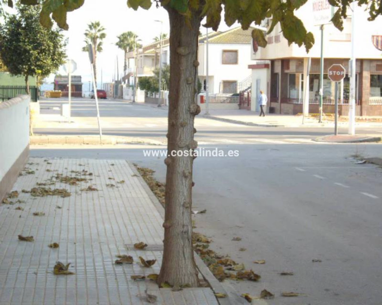 LAC 2409  | LAC 2409 